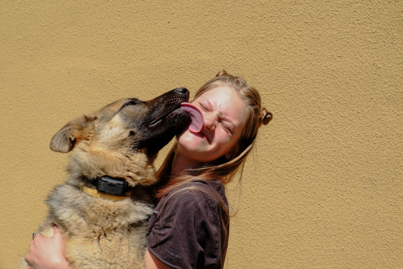 Licking People | Shutterstock Photo by A.Ivashchenko