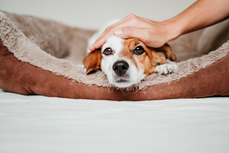 Anxiety Is Real | Shutterstock Photo by eva_blanco