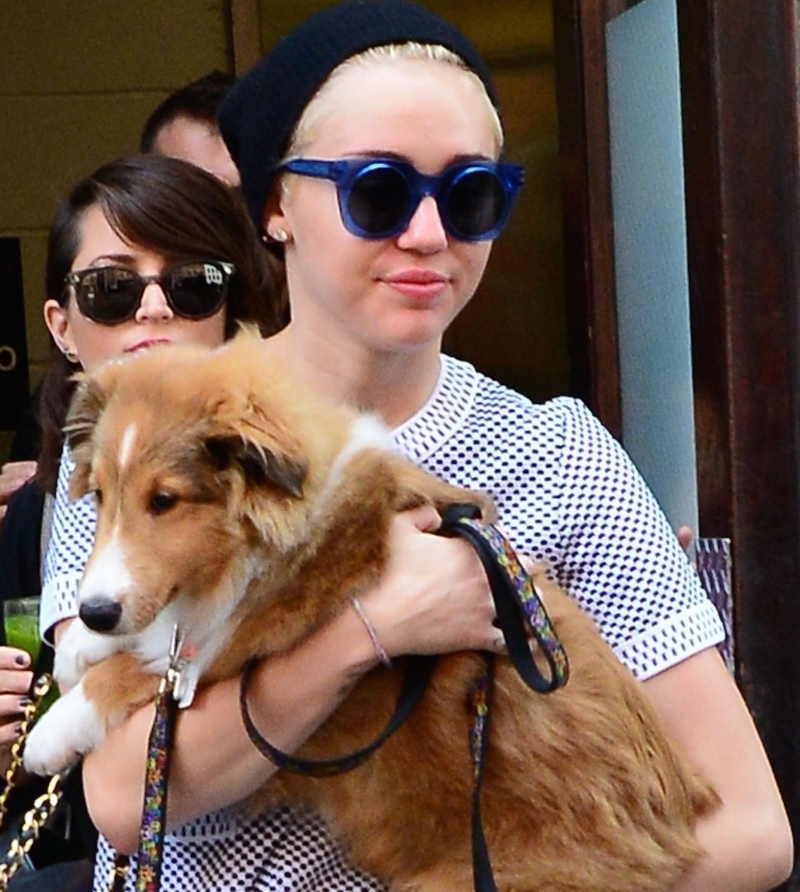 Las mascotas de Miley Cyrus son un problema | Getty Images Photo by Raymond Hall/GC Images