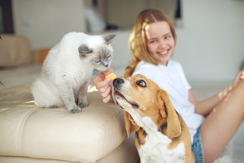 Don’t Be Rude! | Shutterstock Photo by Nina Buday