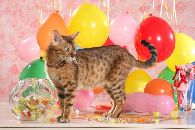 Boo Balloons! | Alamy Stock Photo by Born, S./juniors@wildlife/Juniors Bildarchiv GmbH 