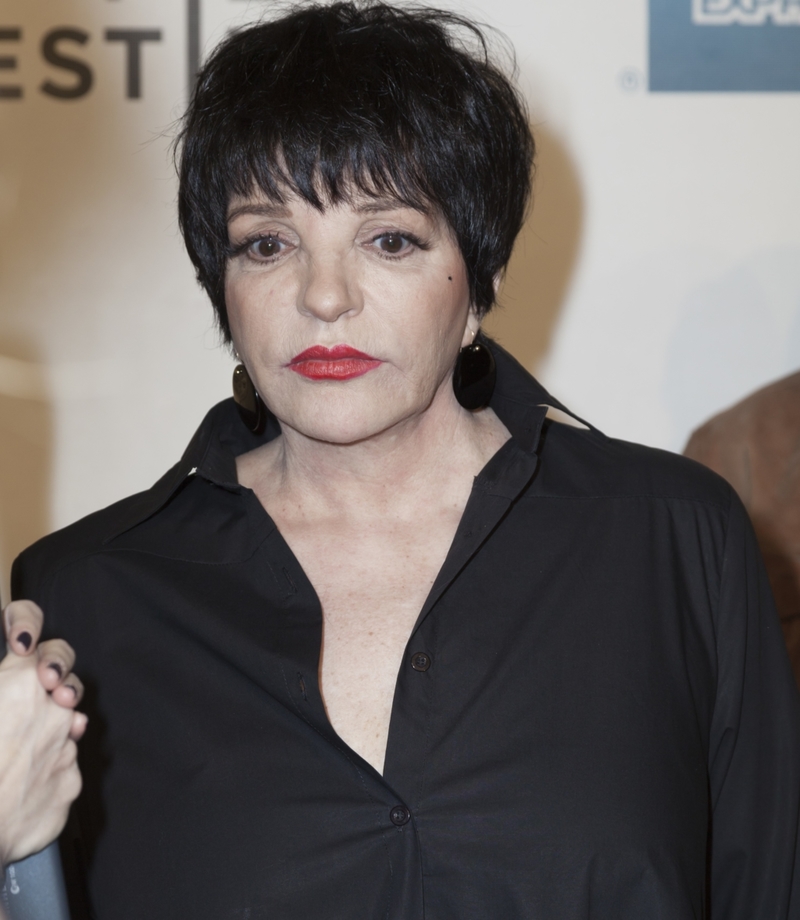 Ellen Colored Liza Minnelli with Some Off-Humor Jokes | Shutterstock