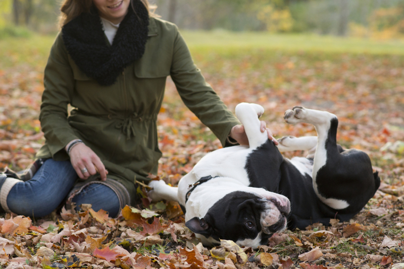 Wiggling Like a Caterpillar | Getty Images Photo by Little City Lifestyle Photography