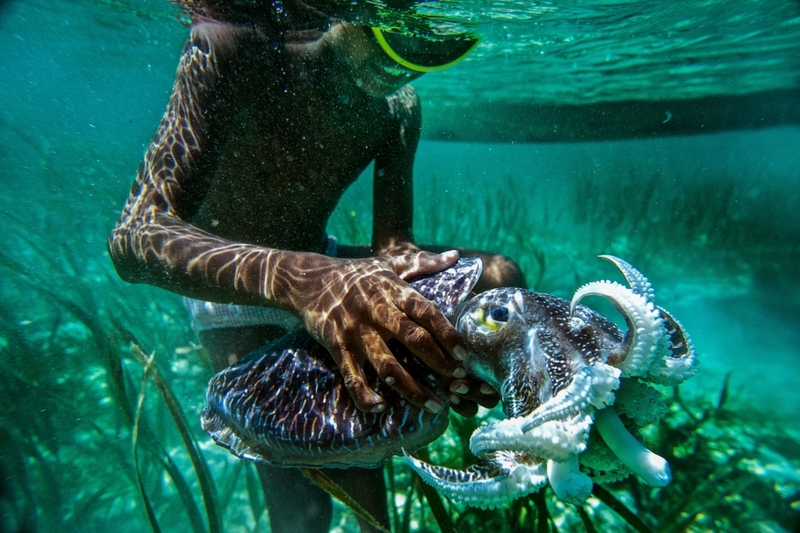 The Fish People of Southeast Asia | Alamy Stock Photo by Imaginechina Limited