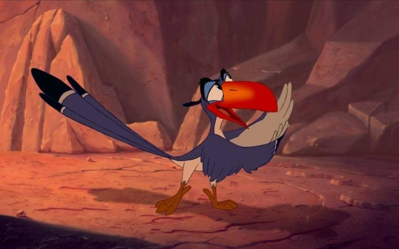 Zazu the Turncoat | Alamy Stock Photo