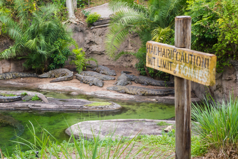 El Kilimanjaro Safari podría ser mortal | Alamy Stock Photo