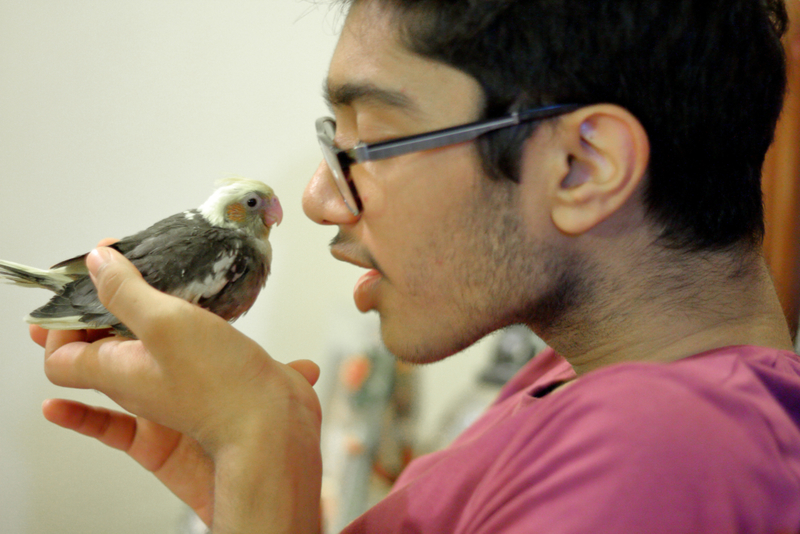 They Do More Than Tweet | Getty Images Photo by Amir Mukhtar