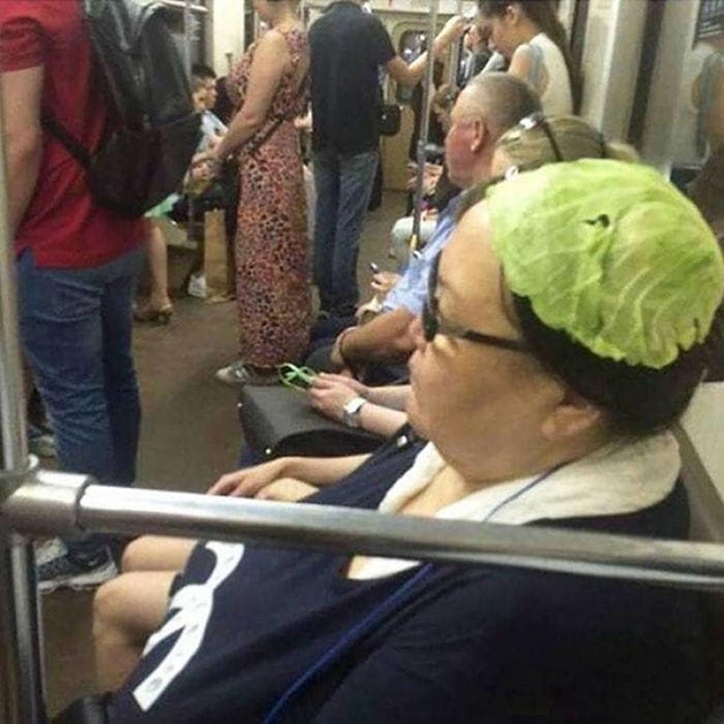 Cabeza de lechuga | Imgur.com/justfrost