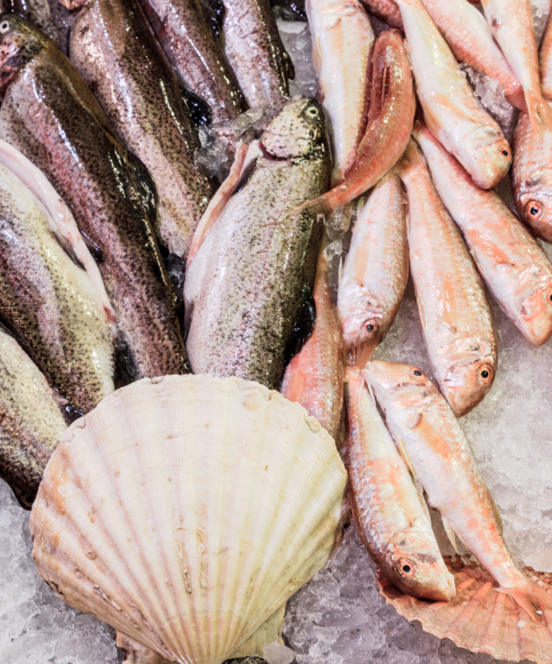 Seafood | Alamy Stock Photo