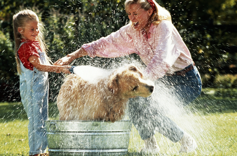 Impulso de energía después del baño | Getty Images Photo by Yellow Dog Productions