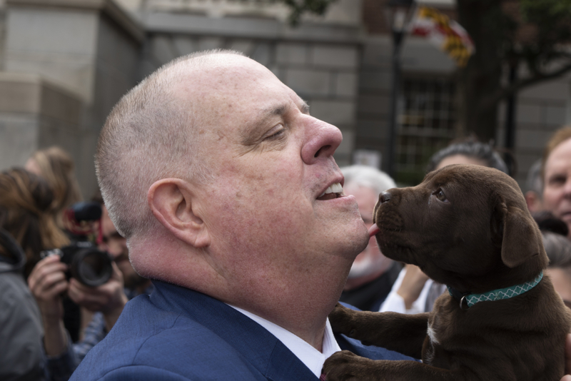 ¿Por qué un perro levanta las patas? | Getty Images Photo by Marvin Joseph/The Washington Post 