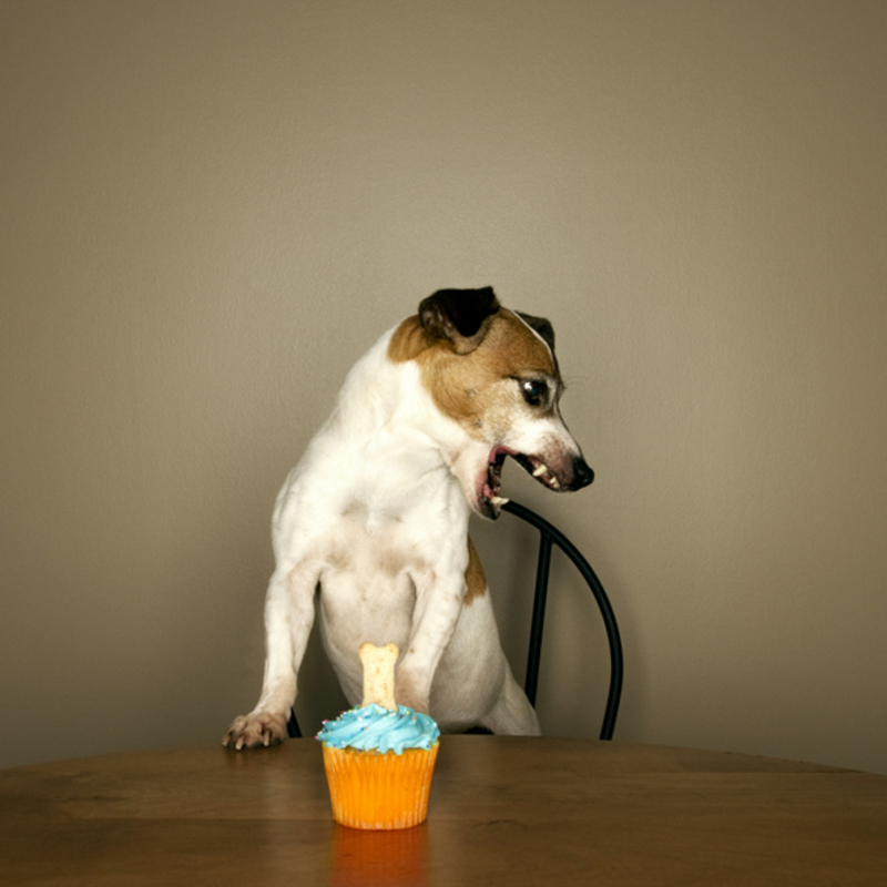 Protegiendo los alimentos | Getty Images Photo by gollykim