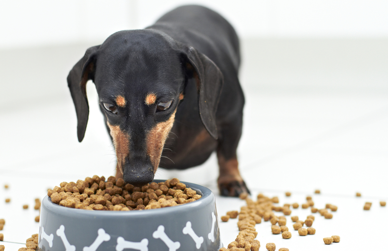 Make Food Easier on Sensitive Teeth | Shutterstock Photo by dogboxstudio