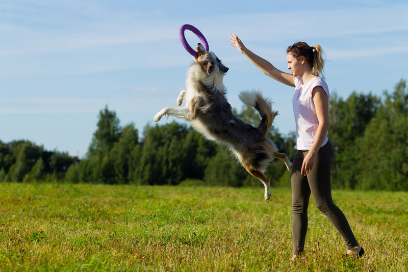 Celebrate Every Single Recall | Shutterstock Photo by Oleg Shakirov