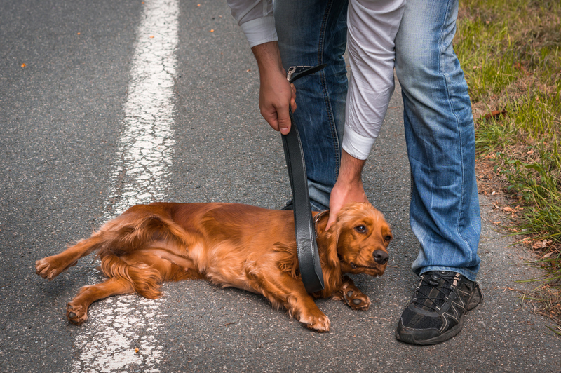 Make Sure Corrections are Immediate | Shutterstock Photo by andriano.cz