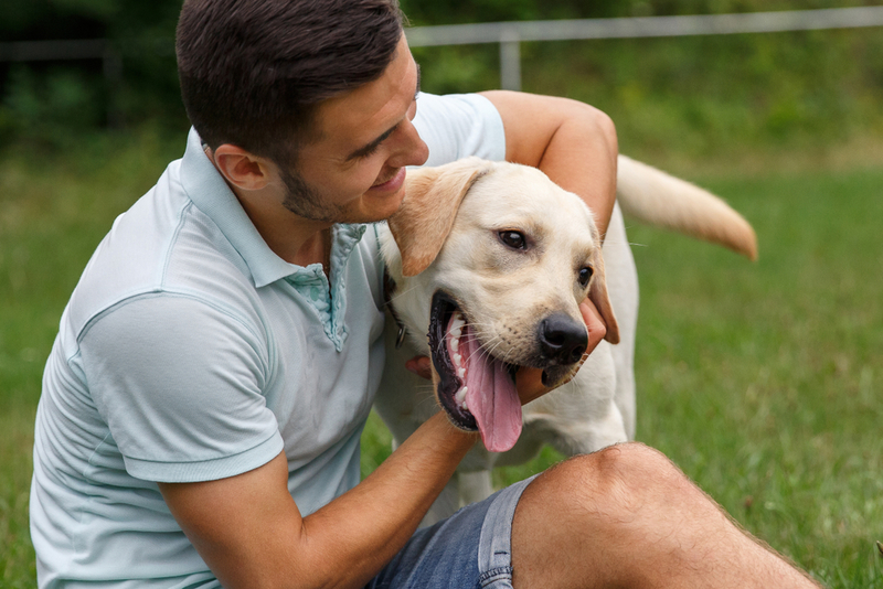 Play With a Purpose | Shutterstock Photo by Wedding and lifestyle