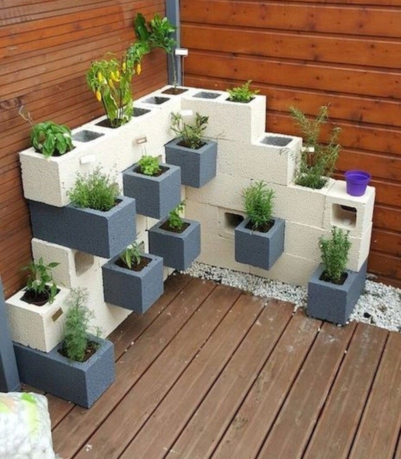 Dale espacio a tus plantas | Imgur.com/patrickeltondk