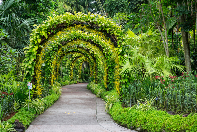 Wild Gardens | Alamy Stock Photo by Charles O. Cecil