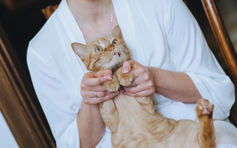 No me recojas | Shutterstock Photo by Shchus