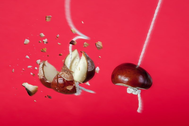 Conker Smashing | Shutterstock