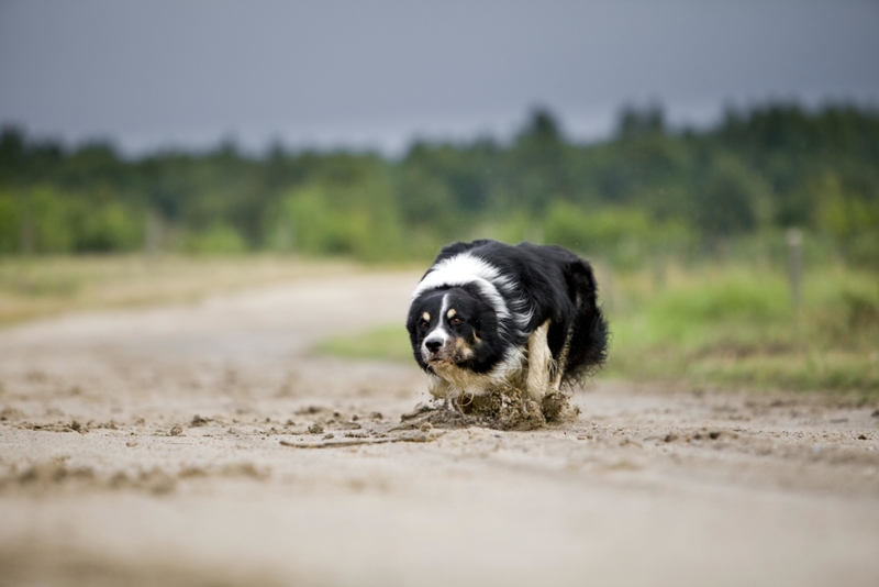 Agachándose | Shutterstock Photo by Meike Engels/imageBROKER