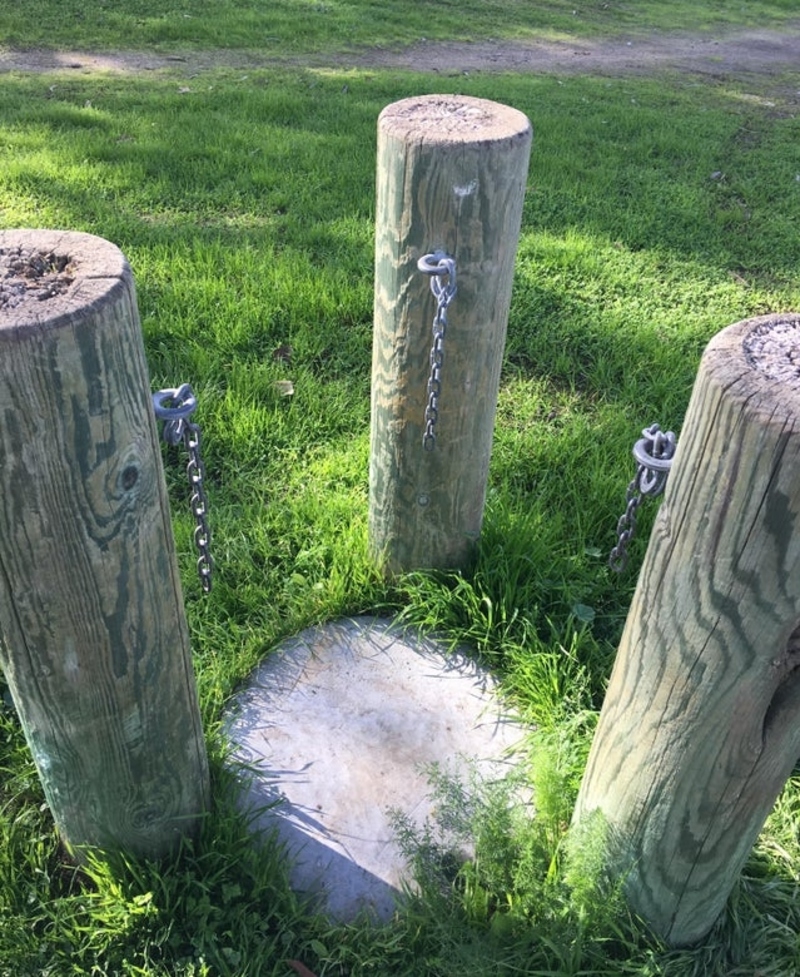 Tree-Henge | Reddit.com/tripping_nathan