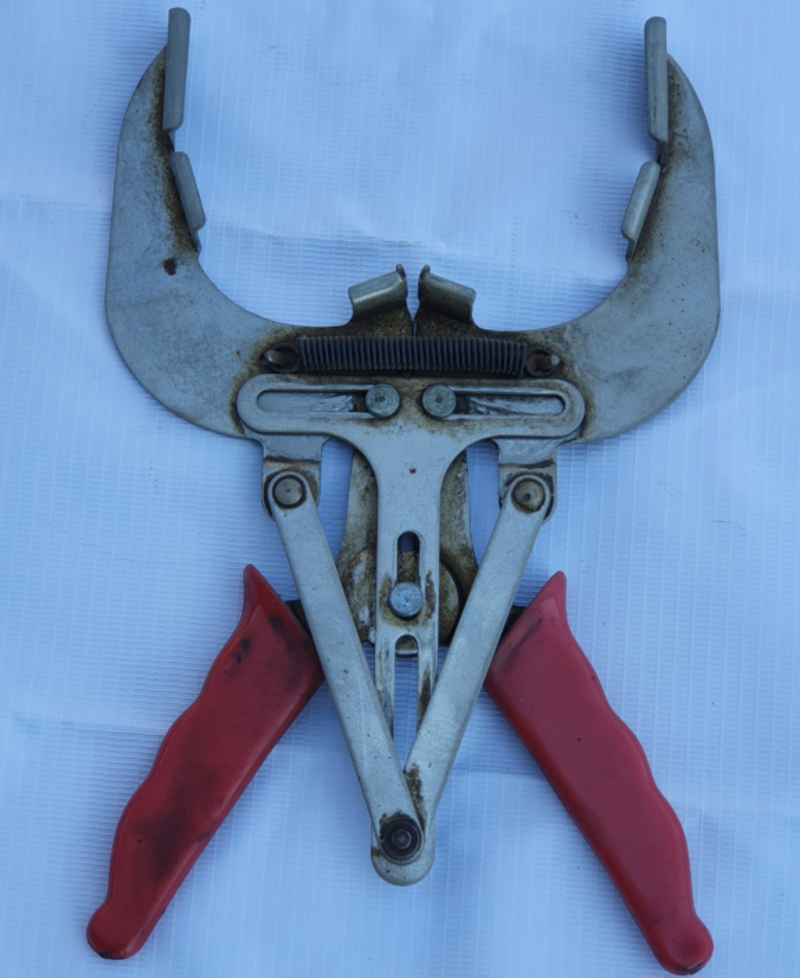 Peculiar Pliers | Shutterstock