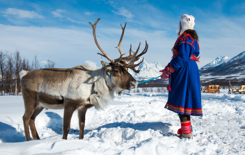 Everything You Need to Know When Planning a Trip to Lapland | Shutterstock