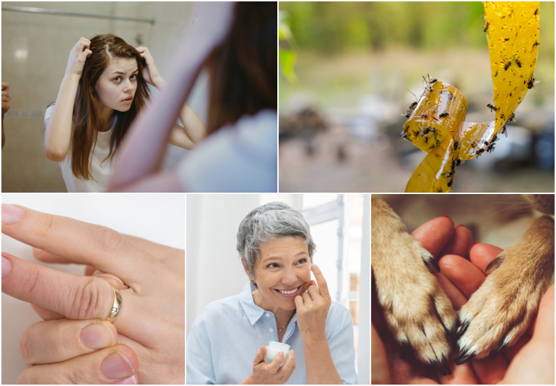 Consejos de belleza y ahorro de dinero con vaselina | ViChizh/Shutterstock & Room 76/Shutterstock & andriano.cz/Shutterstock & Ground Picture/Shutterstock & PinkCoffee Studio/Shutterstock