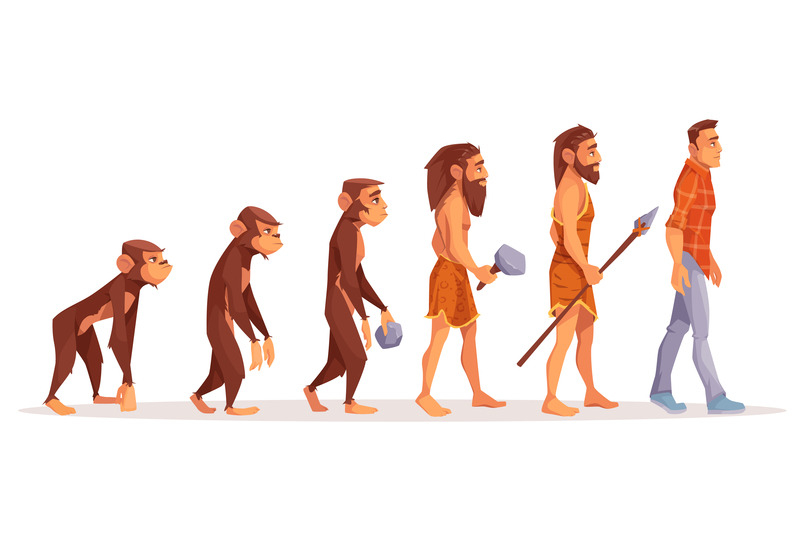 Human Beings Evolved From Monkeys | Shutterstock