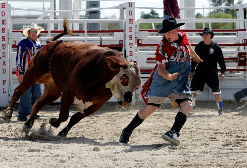 Bulls Hate the Color Red | Alamy Stock Photo