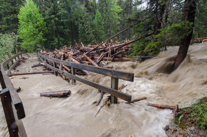 Si oyes el ruido del agua, corre a un lugar alto | Shutterstock