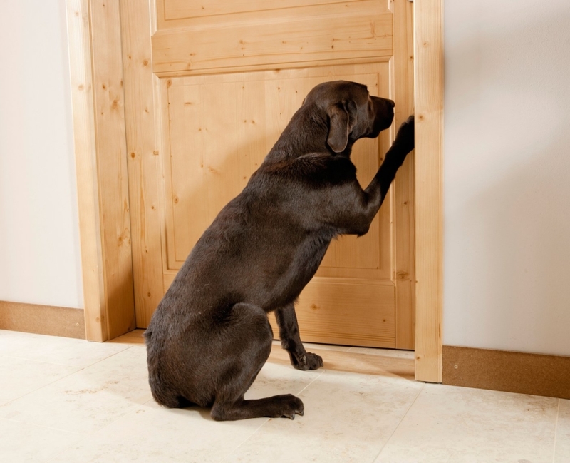 Protect Your Doors | Alamy Stock Photo by Juniors Bildarchiv GmbH/F314