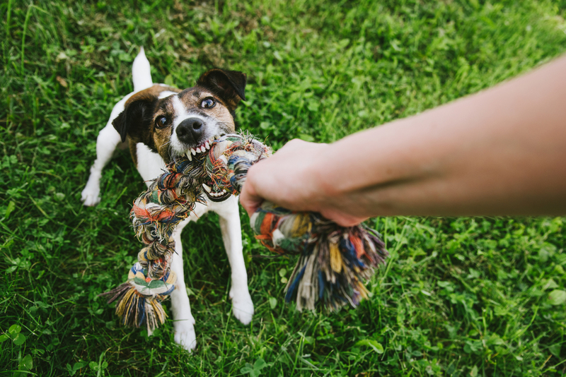 Turn Old Clothes into Something New | Shutterstock Photo by Karpova