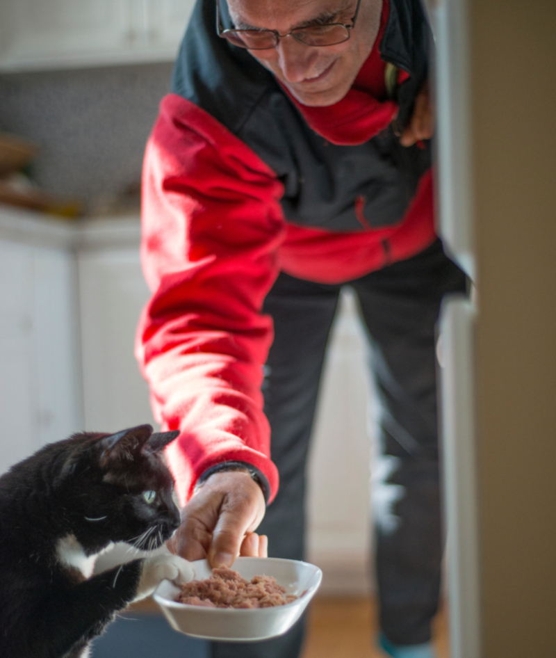 Switch Up Feeding Times | Alamy Stock Photo by Gina Rodgers 