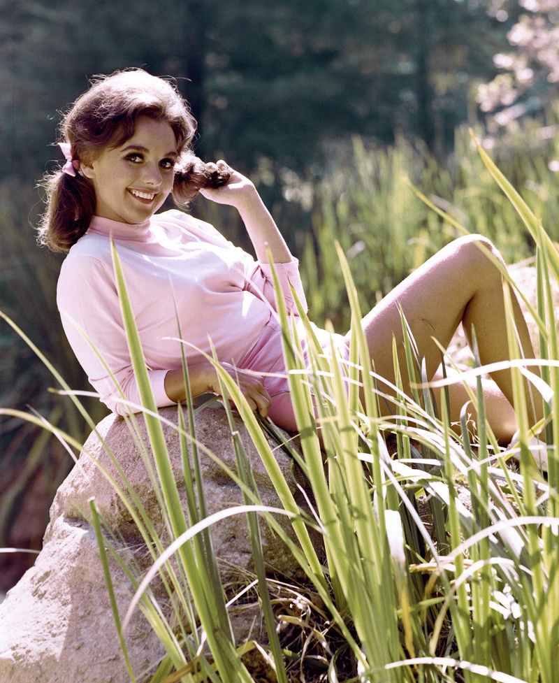 Dawn Wells recibía más cartas al día que una oficina de correos | Alamy Stock Photo