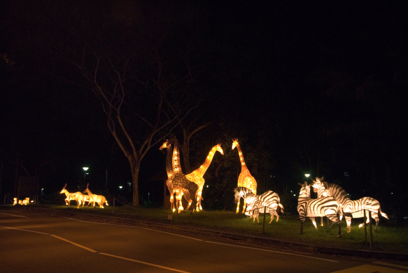 Night Time Animal Spotting | Alamy Stock Photo by Maximilian Weinzierl 