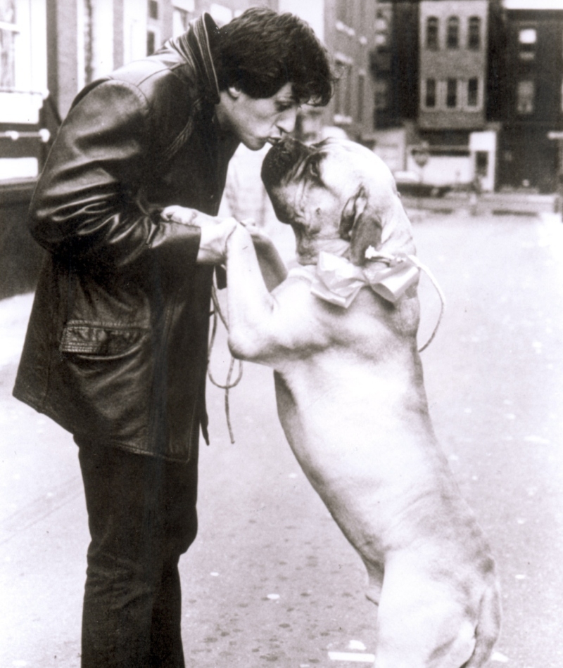 Stallone y Butkus | Alamy Stock Photo