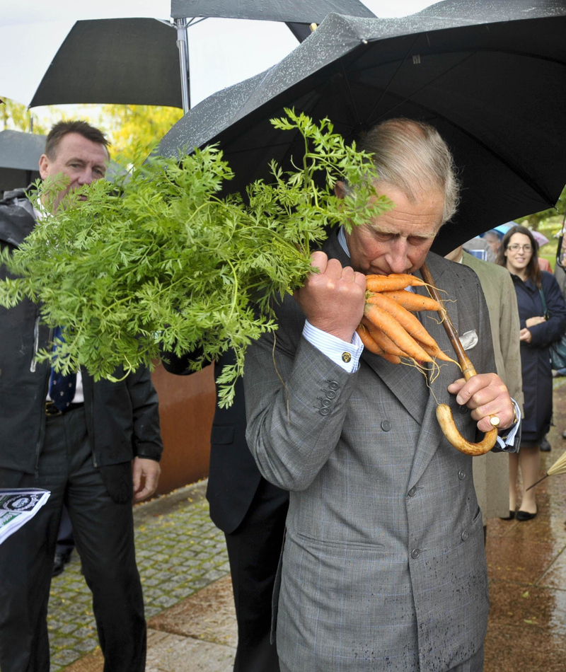 Sniffing Carrots | Alamy Stock Photo by Ben Birchall/PA Images