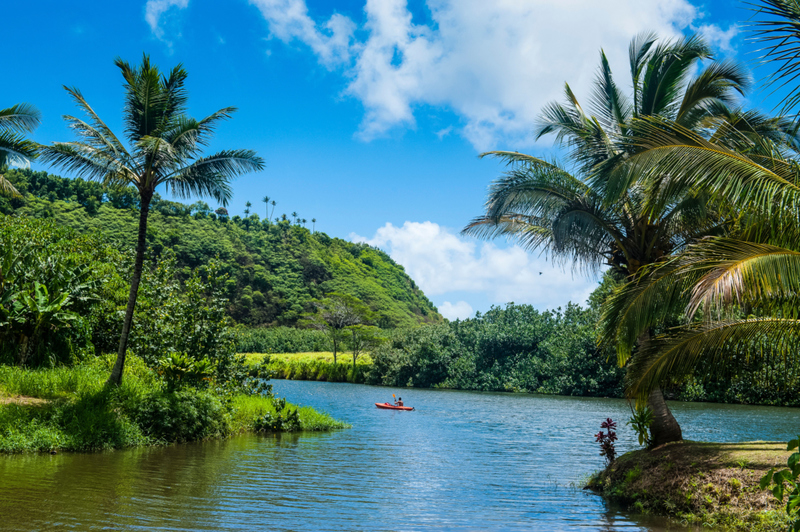 El fascinante río Wailua | Alamy Stock Photo by robertharding 