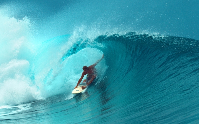 Barron Mamiya enorgullece a los hawaianos | Shutterstock Photo by Flystock