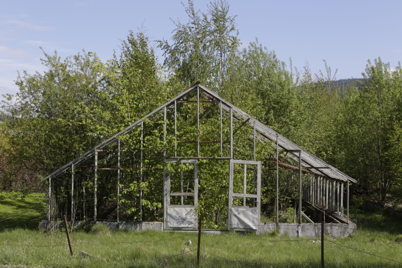 A True Greenhouse | Alamy Stock Photo by Anette Selmer-Andresen