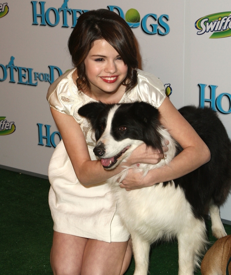 ¡Es madre de un perro! | Getty Images Photo by Alberto E. Rodriguez