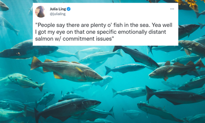 Plenty of Fish | Shutterstock & Twitter/@julialing