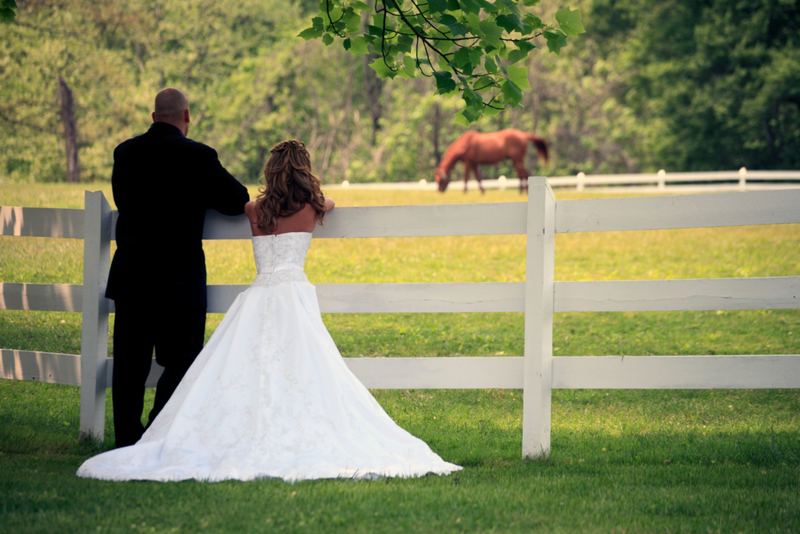 Kentucky Gives Love No More Than Three Shots | Alamy Stock Photo