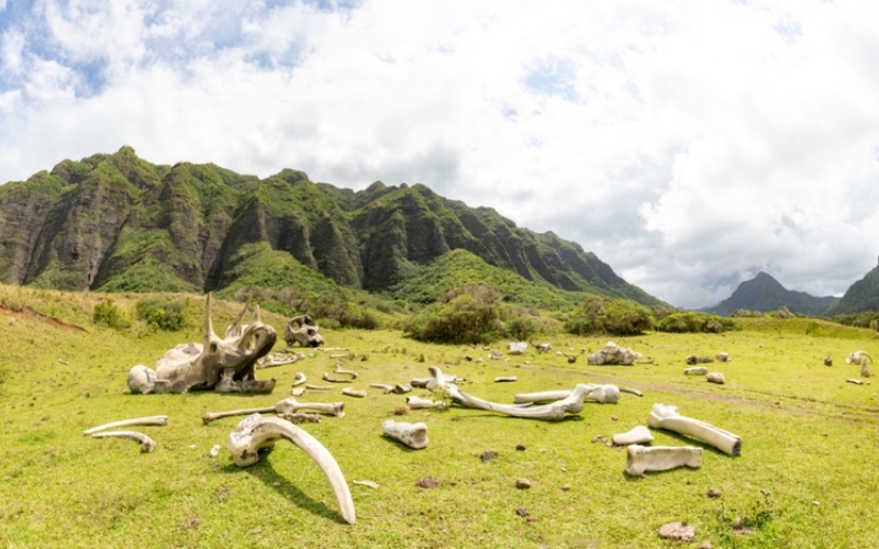 Jurassic Park en Hawái | Alamy Stock Photo by James Smith