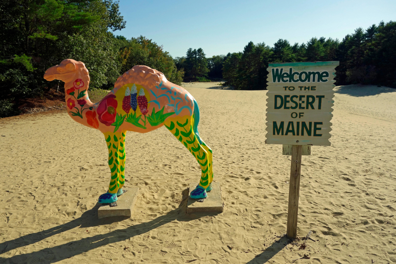 Desert This Attraction | Alamy Stock Photo by Cayman 