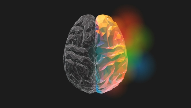 There Are Left-Brained and Right-Brained People | Shutterstock