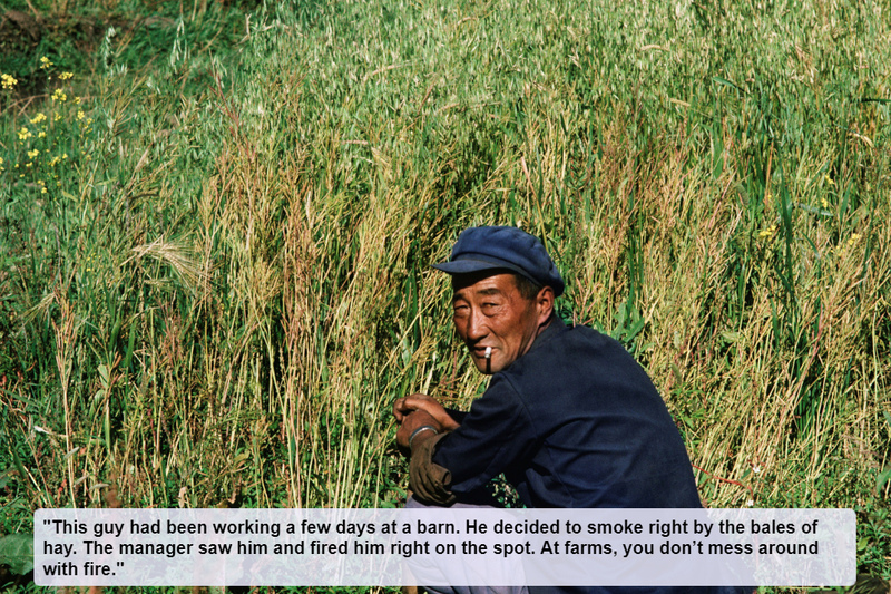 Bailin' on the Hay | Alamy Stock Photo