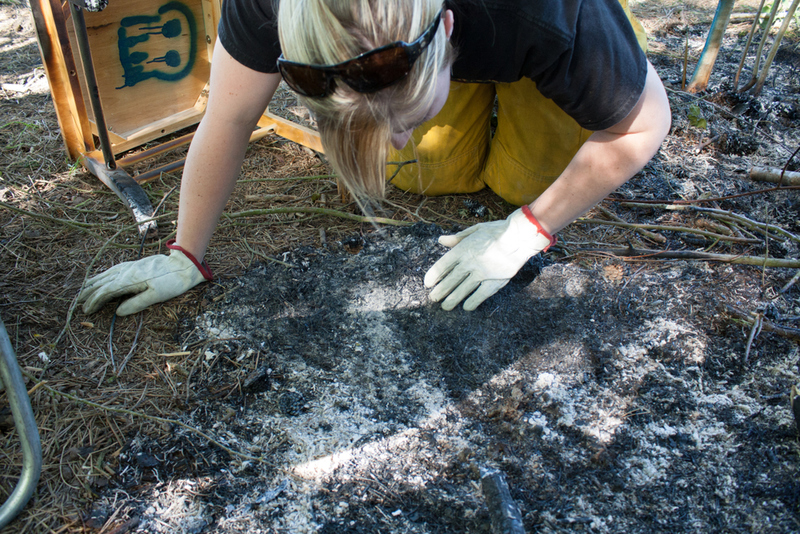 Fire Investigator | Shutterstock